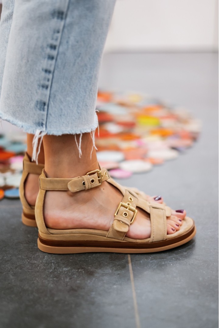 MJUS N14006 AVENA