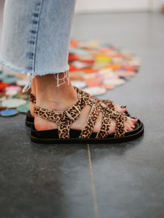 COLORS OF CALIFORNIA...