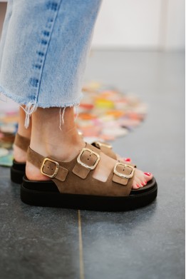 SCHOLL BLAKE TAUPE