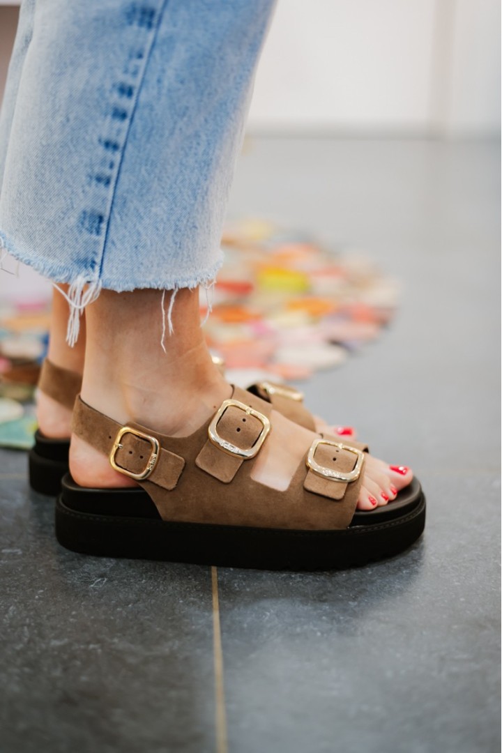 SCHOLL BLAKE TAUPE