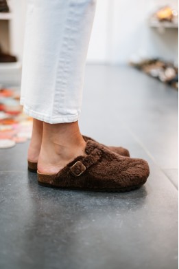 SCHOLL CAMILLE BROWN