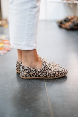 DWRS LATTY SMALL STUDS LEOPARD