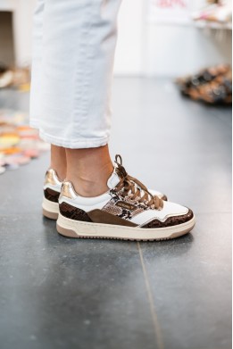 VICTORIA 8800132 MARRON